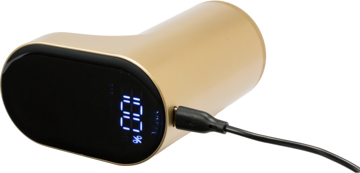 ポンのみ充電100％